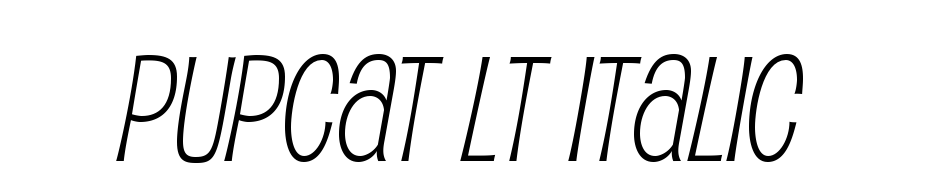 Pupcat Lt Italic cкачати шрифт безкоштовно